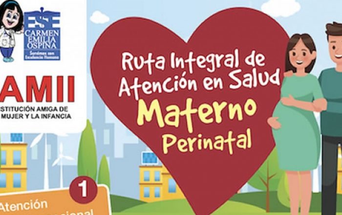 Ruta Integral de Atenci&oacute;n en Salud Materno Perinatal