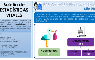 Boletín De Estadísticas Vitales 2019 – ESE Carmen Emilia Ospina