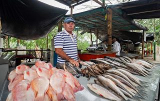 Pescado
