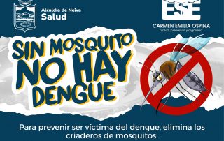 Prevención dengue