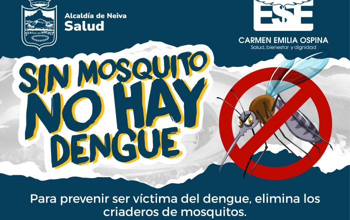 Prevenci&oacute;n dengue