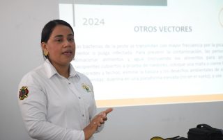 Capacitación vectores portada