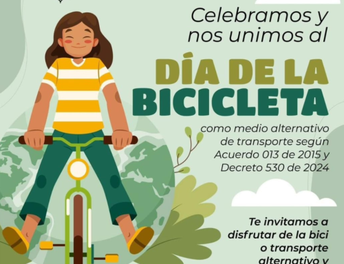 Día de la bicicleta