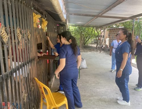 Comunicado a la ciudadanía